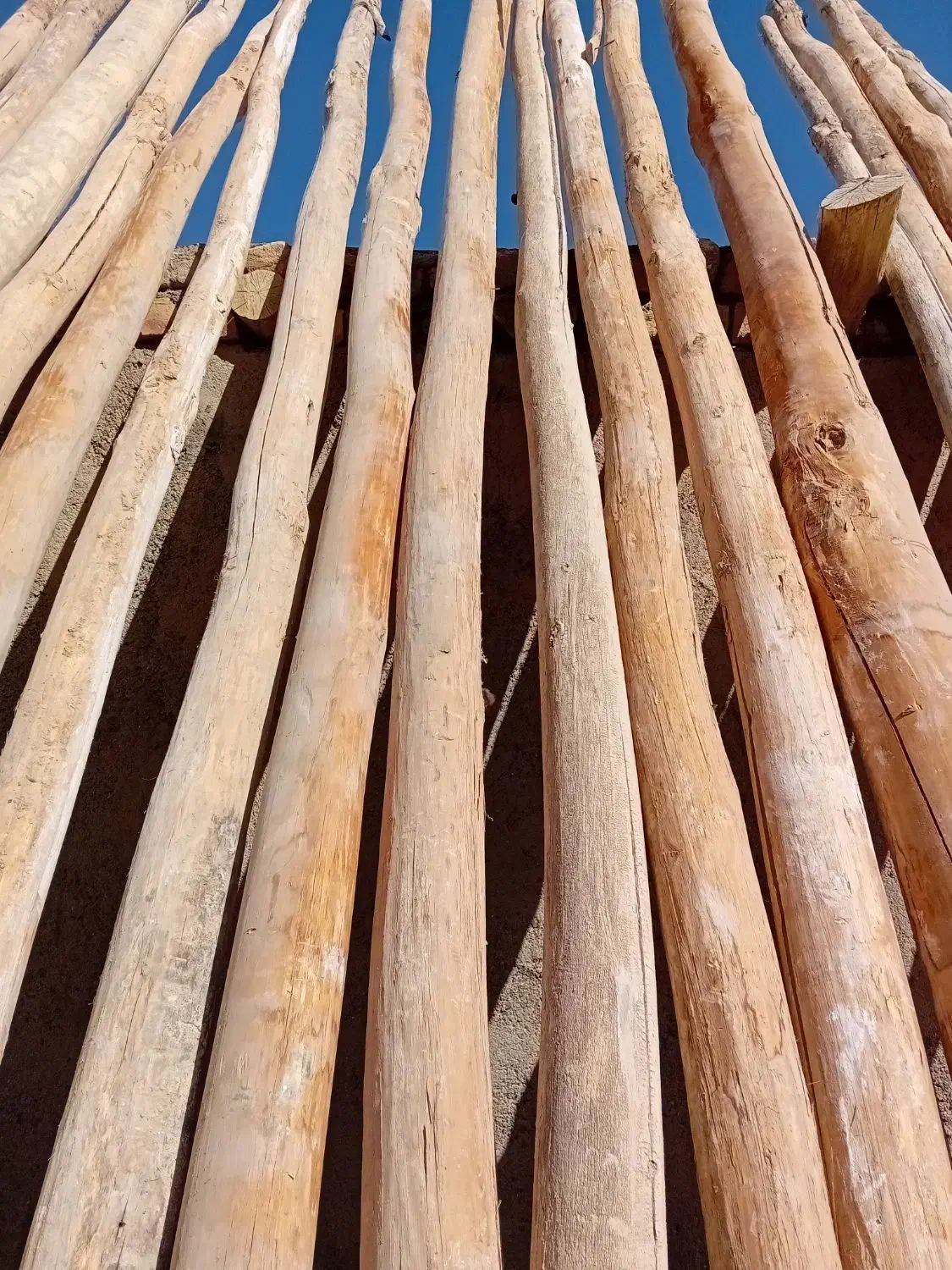 چوب خریداریم|خدمات باغبانی و درختکاری|اراک, |دیوار