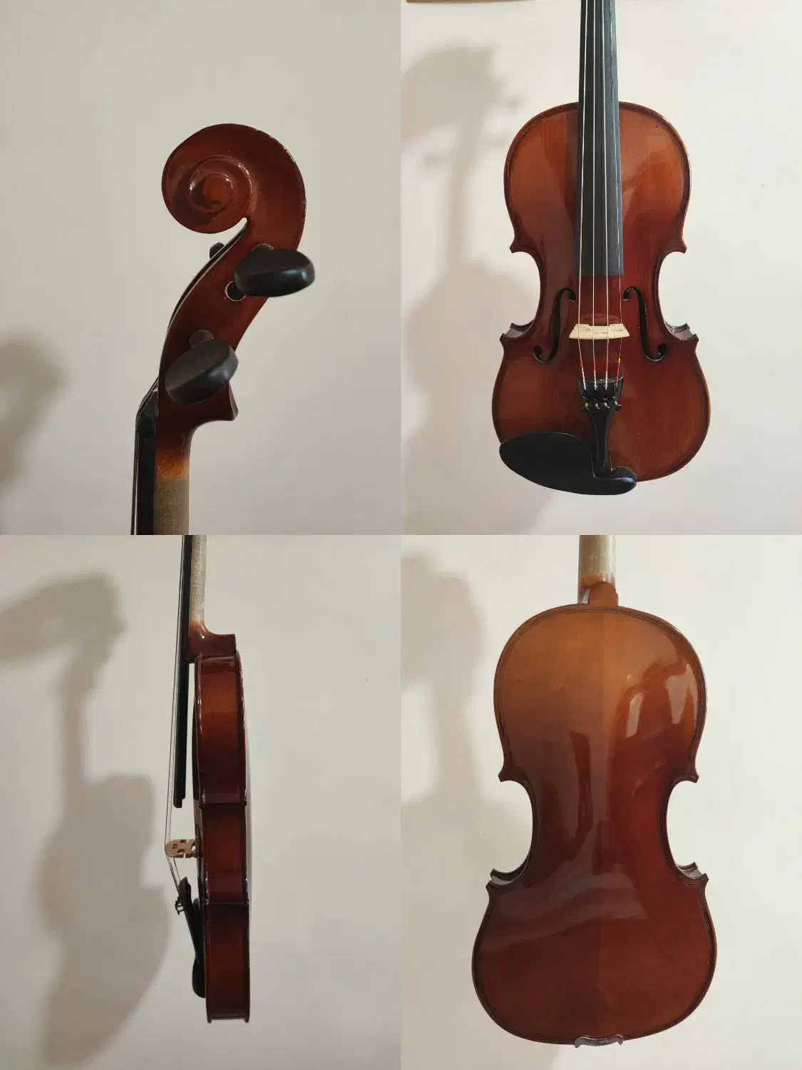 ویولن tf 132|ویولن|یزد, |دیوار