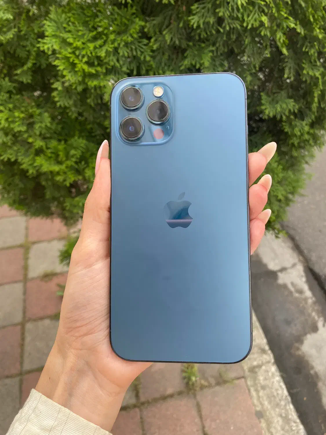 iphone 12promax 256|موبایل|رشت, دیلمان|دیوار