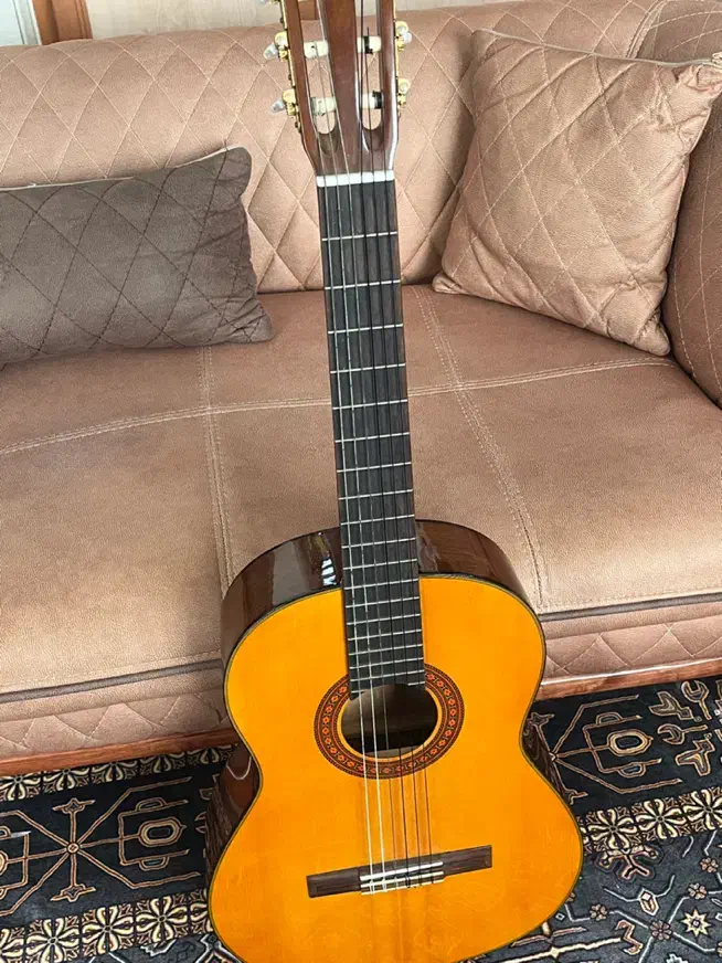 گیتار|گیتار، بیس، امپلیفایر|تهران, قیطریه|دیوار