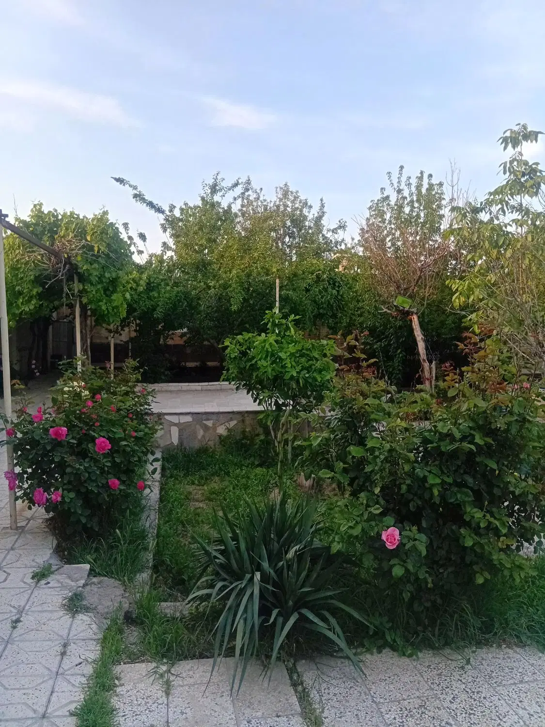 تصویر 8