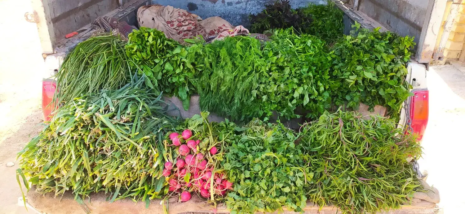 سبزی|خوردنی و آشامیدنی|کبودرآهنگ, |دیوار