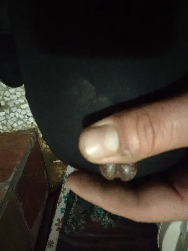 هبهاب|بدلیجات|بوشهر, |دیوار