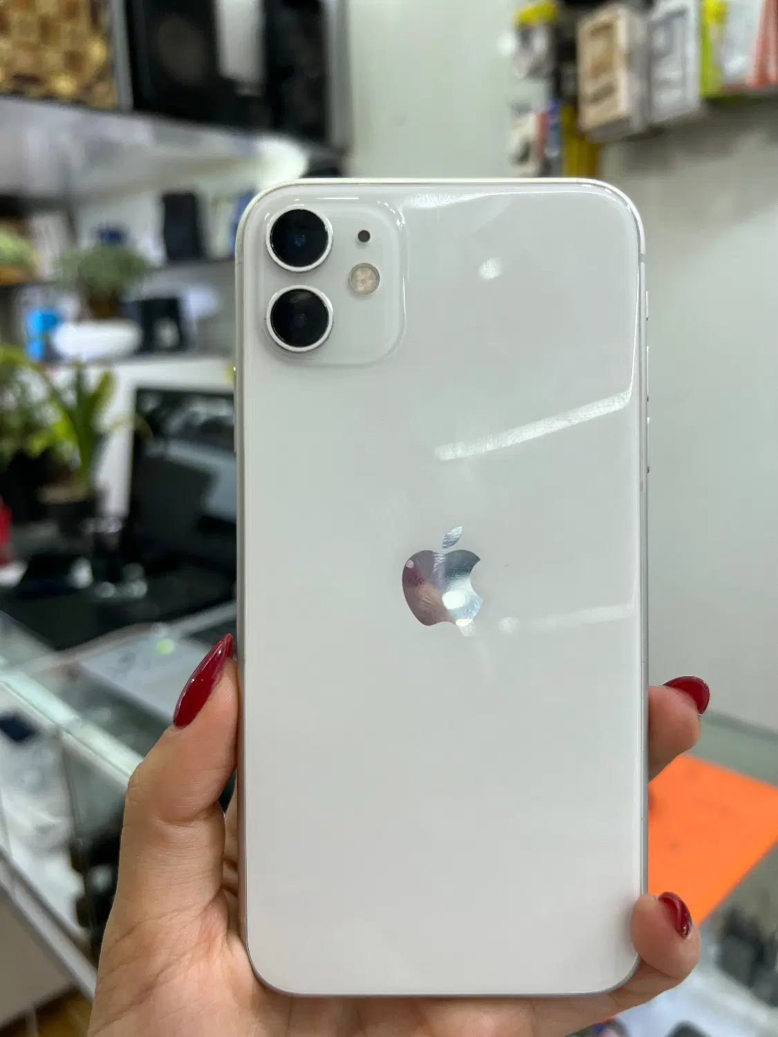 iphone 11 Normal|موبایل|مرودشت, ژیان|دیوار