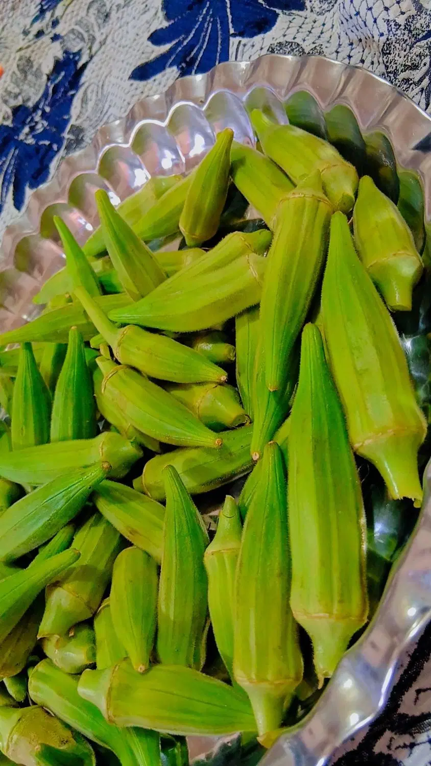 بامیه|خوردنی و آشامیدنی|گرگان, |دیوار