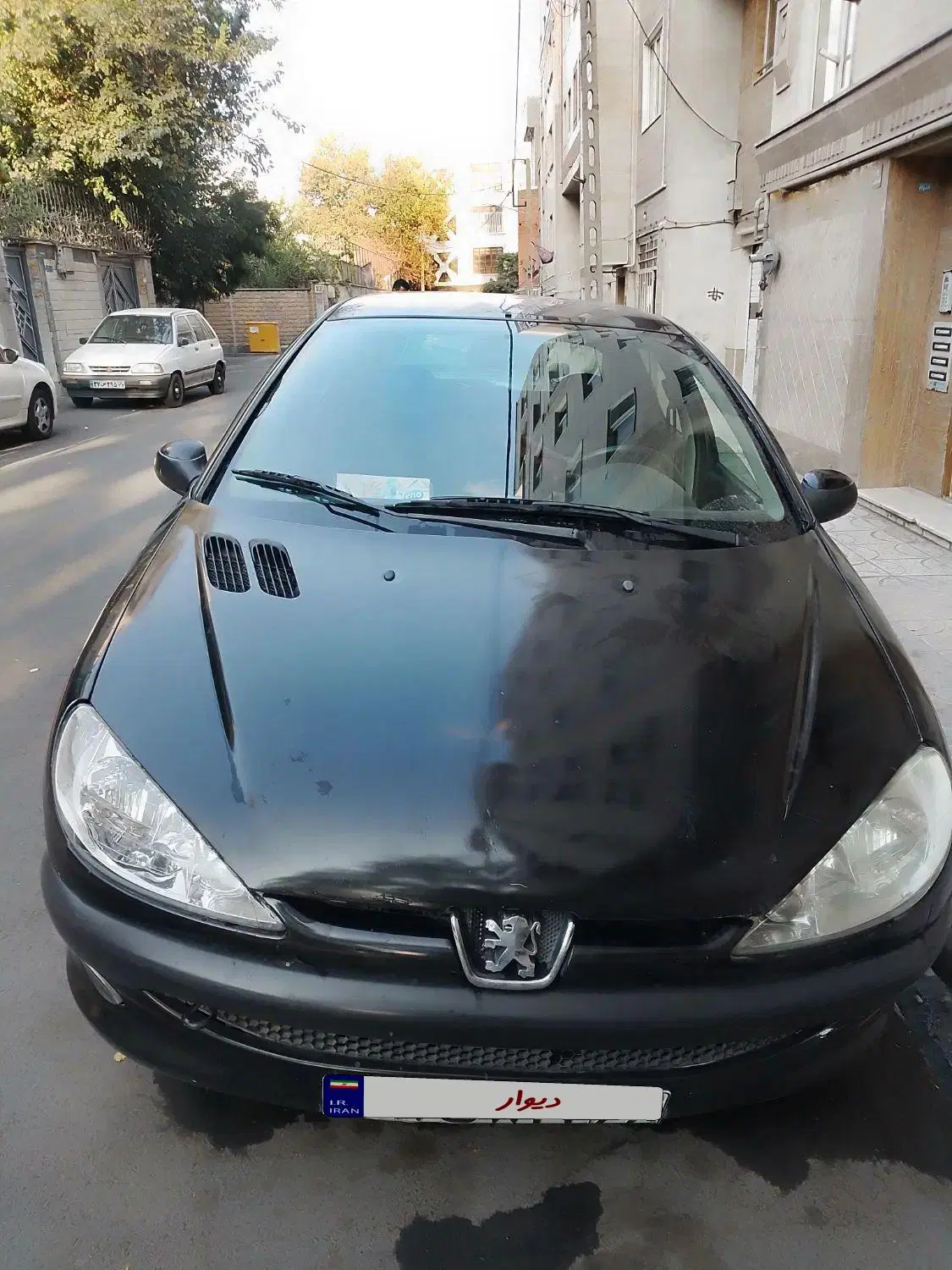 ۲۰۶|خودرو سواری و وانت|تهران, جی|دیوار