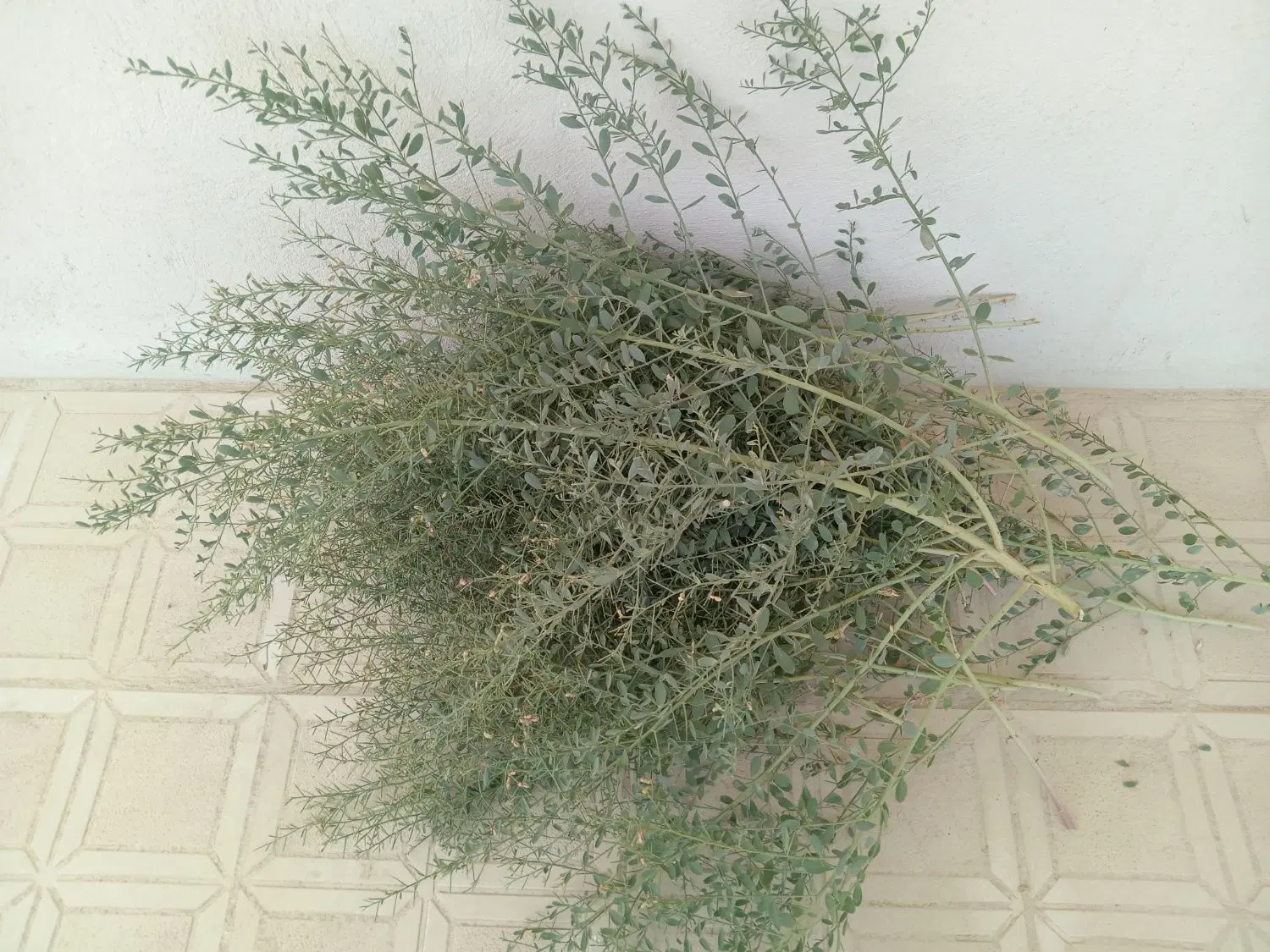 خارشتر|خوردنی و آشامیدنی|همدان, |دیوار