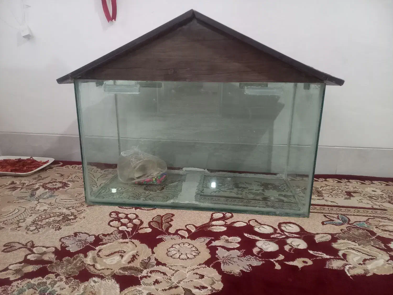 آکواریوم|ماهی|پاسارگاد, |دیوار