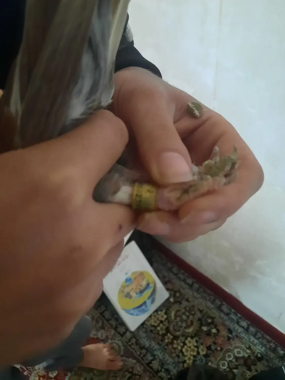 به ضمانت|حراج|مزرعه کتول, |دیوار