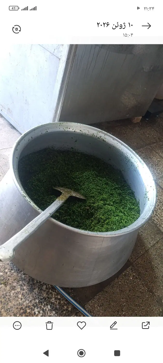 سبزی|خوردنی و آشامیدنی|دورود, |دیوار