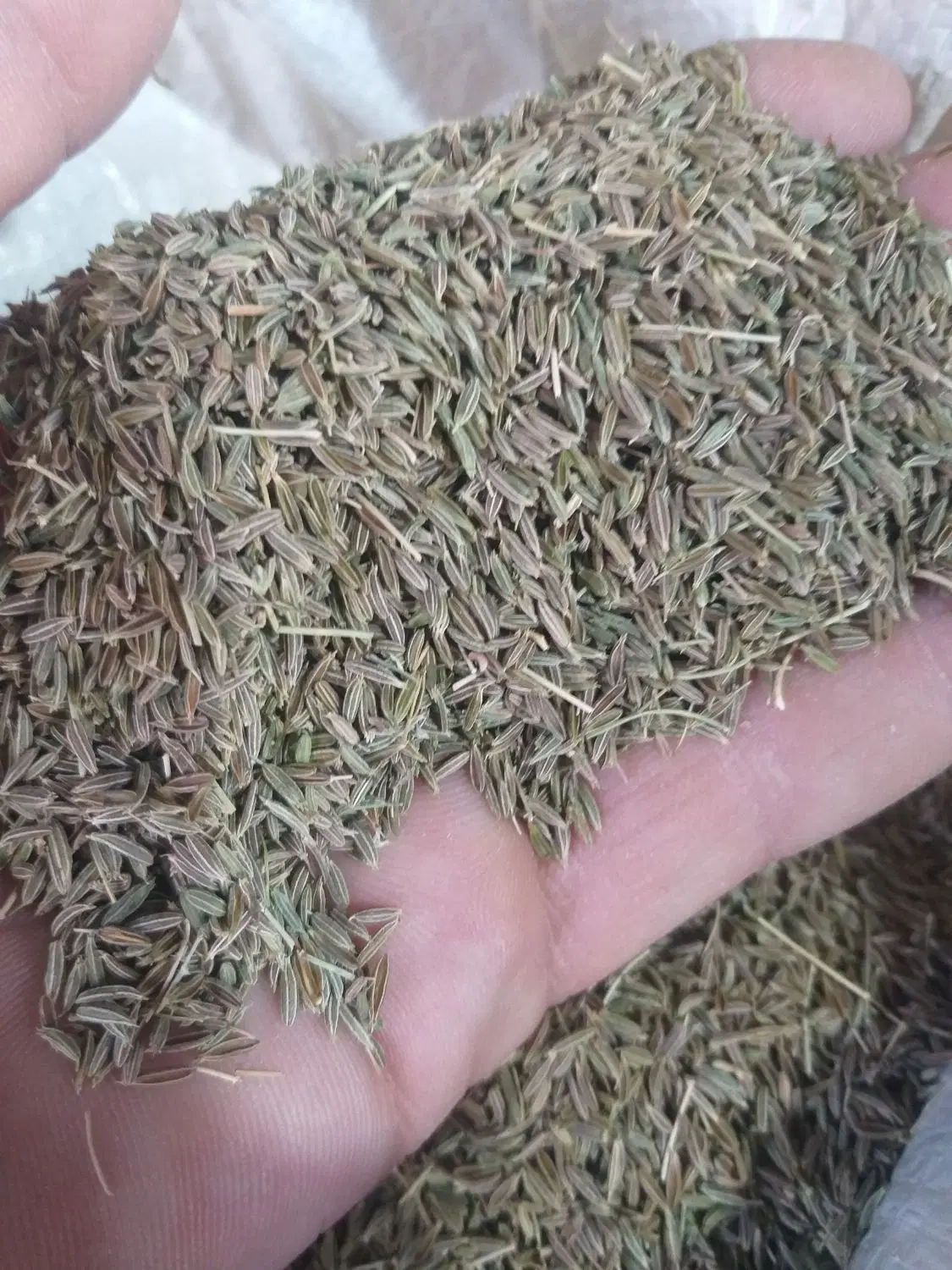 زیره|خوردنی و آشامیدنی|تربت‌حیدریه, کوی شهید احمدزاده ملکی|دیوار