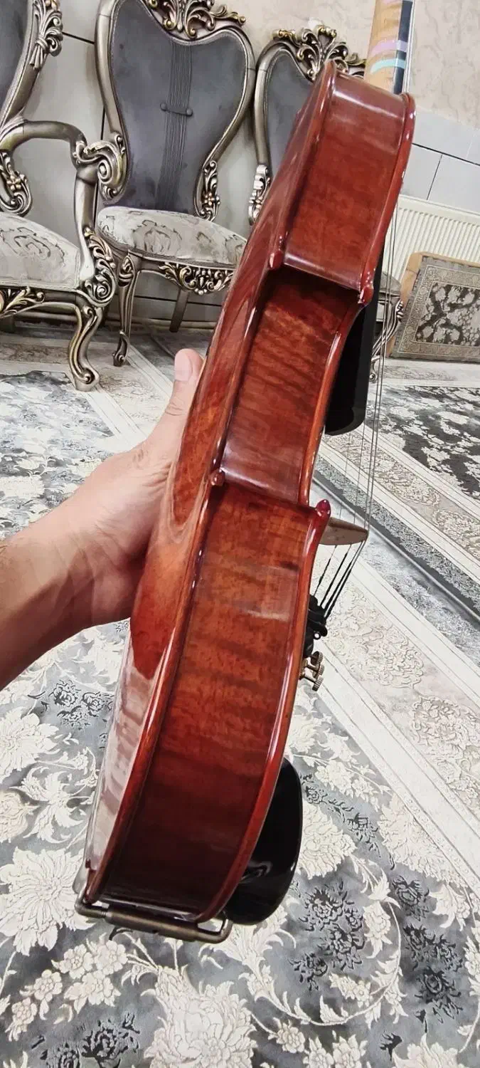 تی اف 800 tf|ویولن|اصفهان, باغ زرشک|دیوار