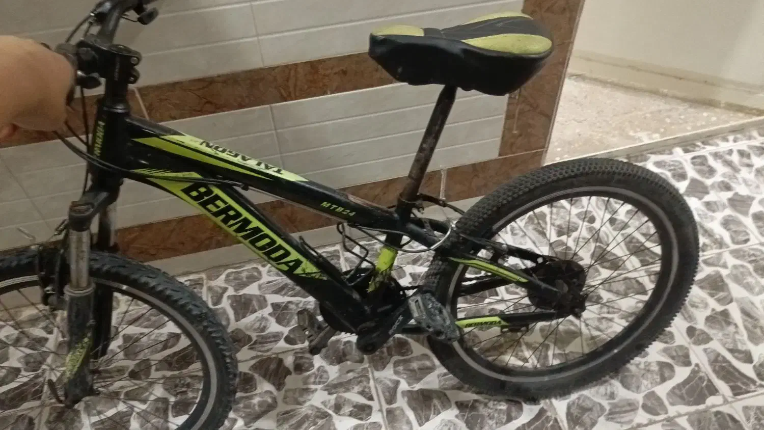 دوچرخه|دوچرخه، اسکیت، اسکوتر|شوشتر, |دیوار