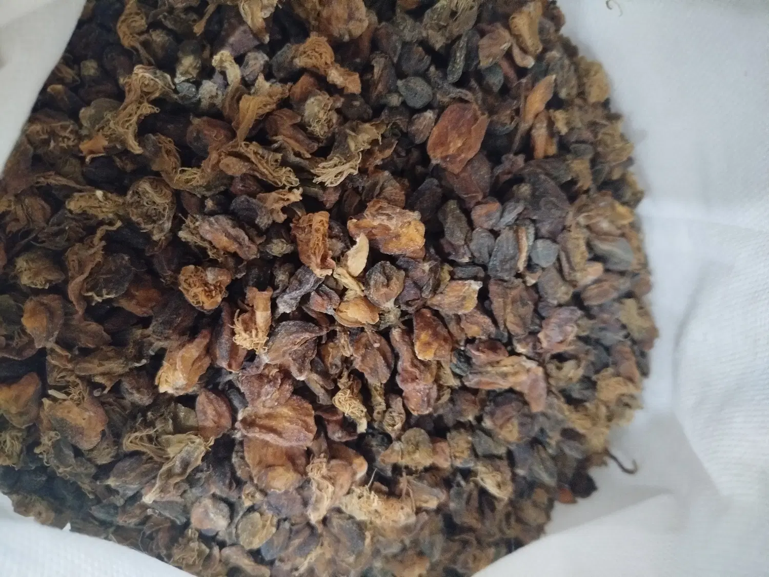 کبرگل|خوردنی و آشامیدنی|قزوین, |دیوار