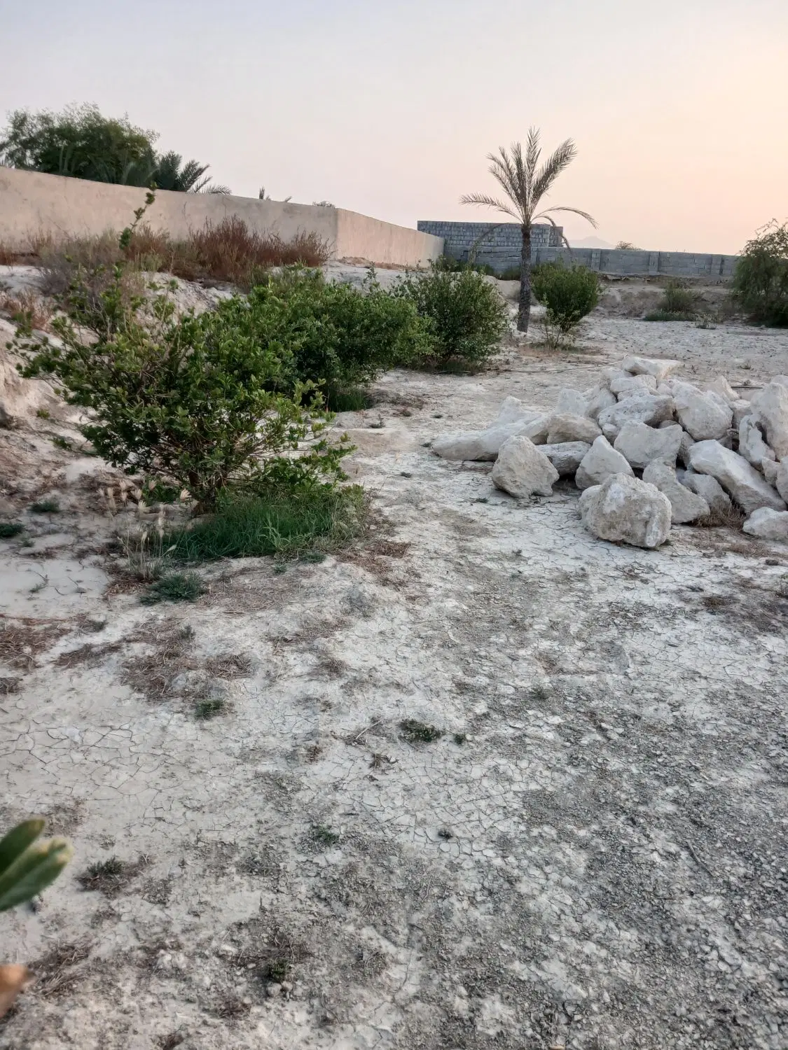 تصویر 10