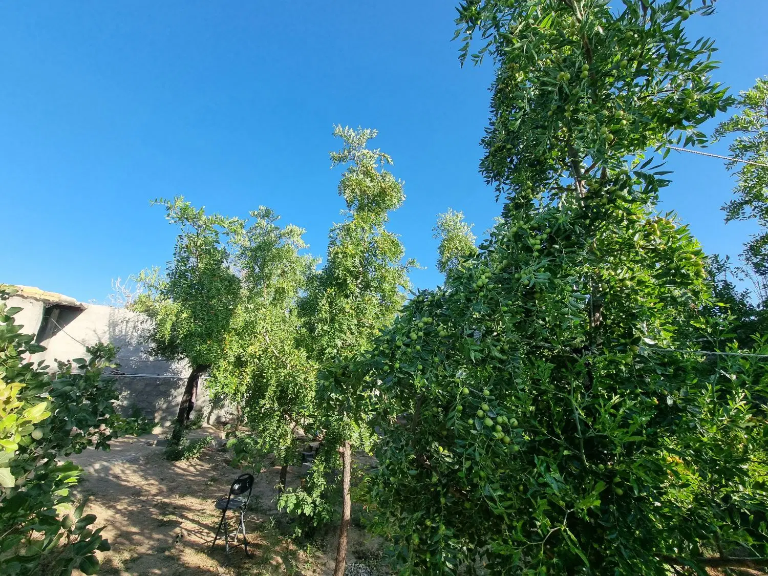 تصویر 3