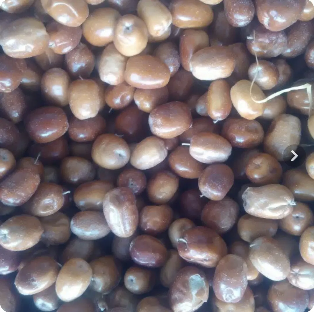سنجد|خوردنی و آشامیدنی|خسروشاه, |دیوار