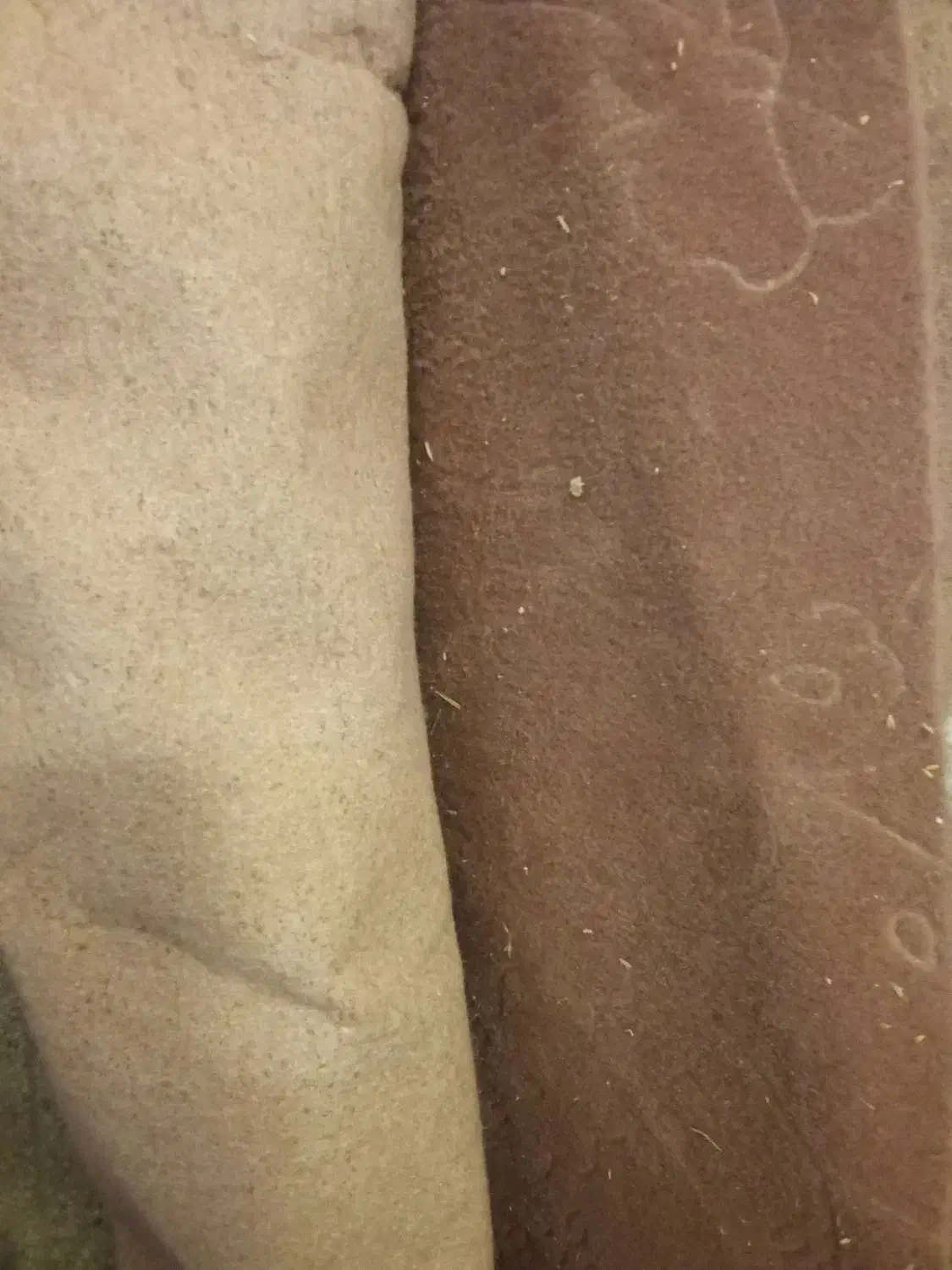 موکت|موکت|مشهد, امیریه|دیوار