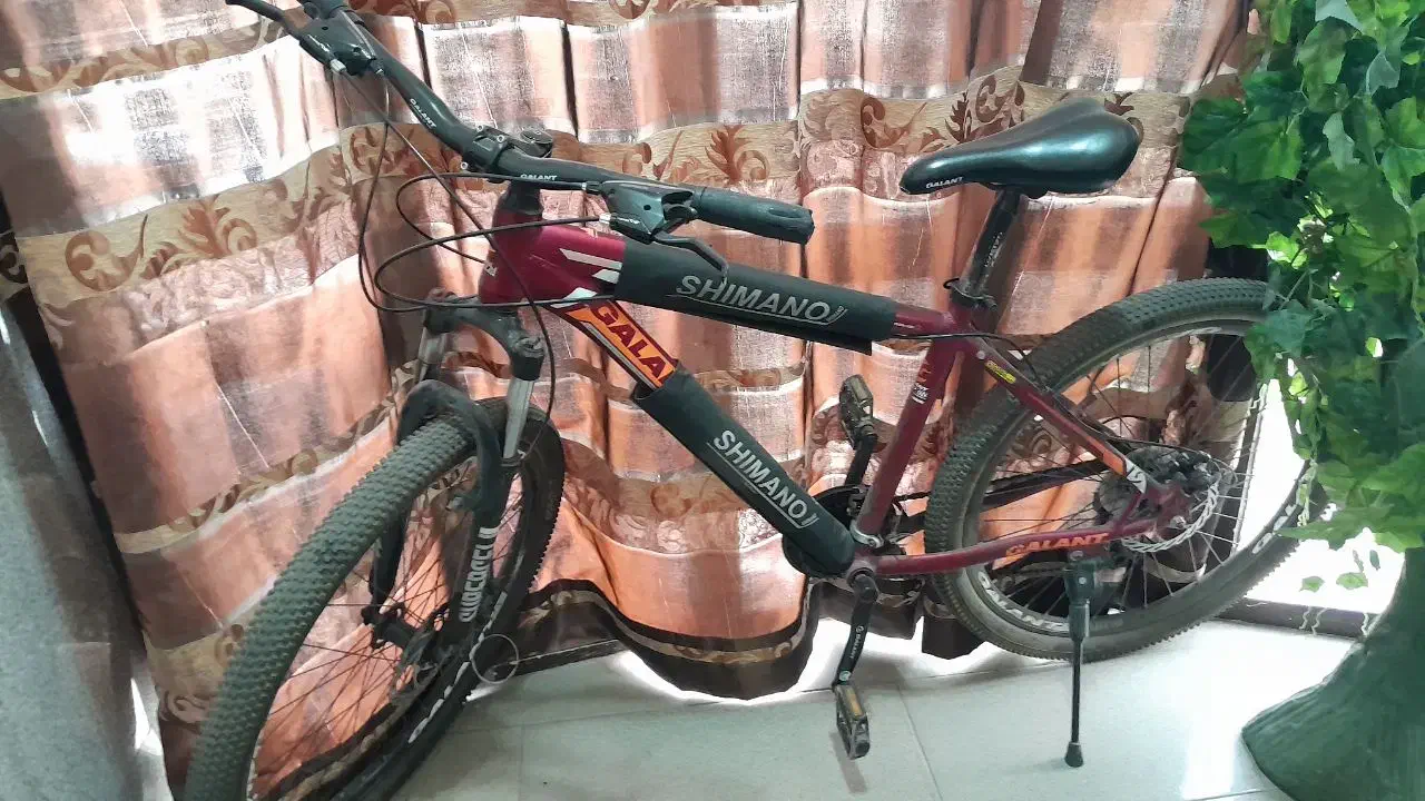 دوچرخه|دوچرخه، اسکیت، اسکوتر|مشهد, ایثارگران|دیوار