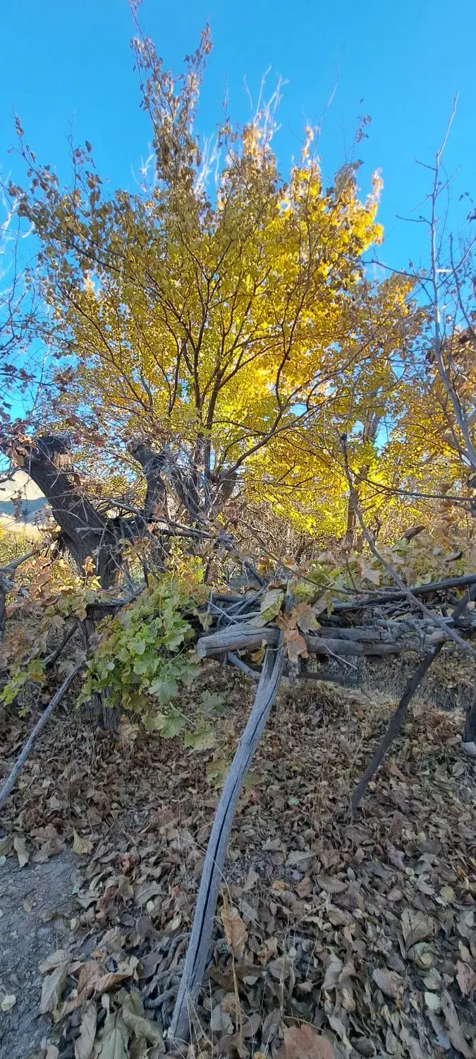 تصویر 5