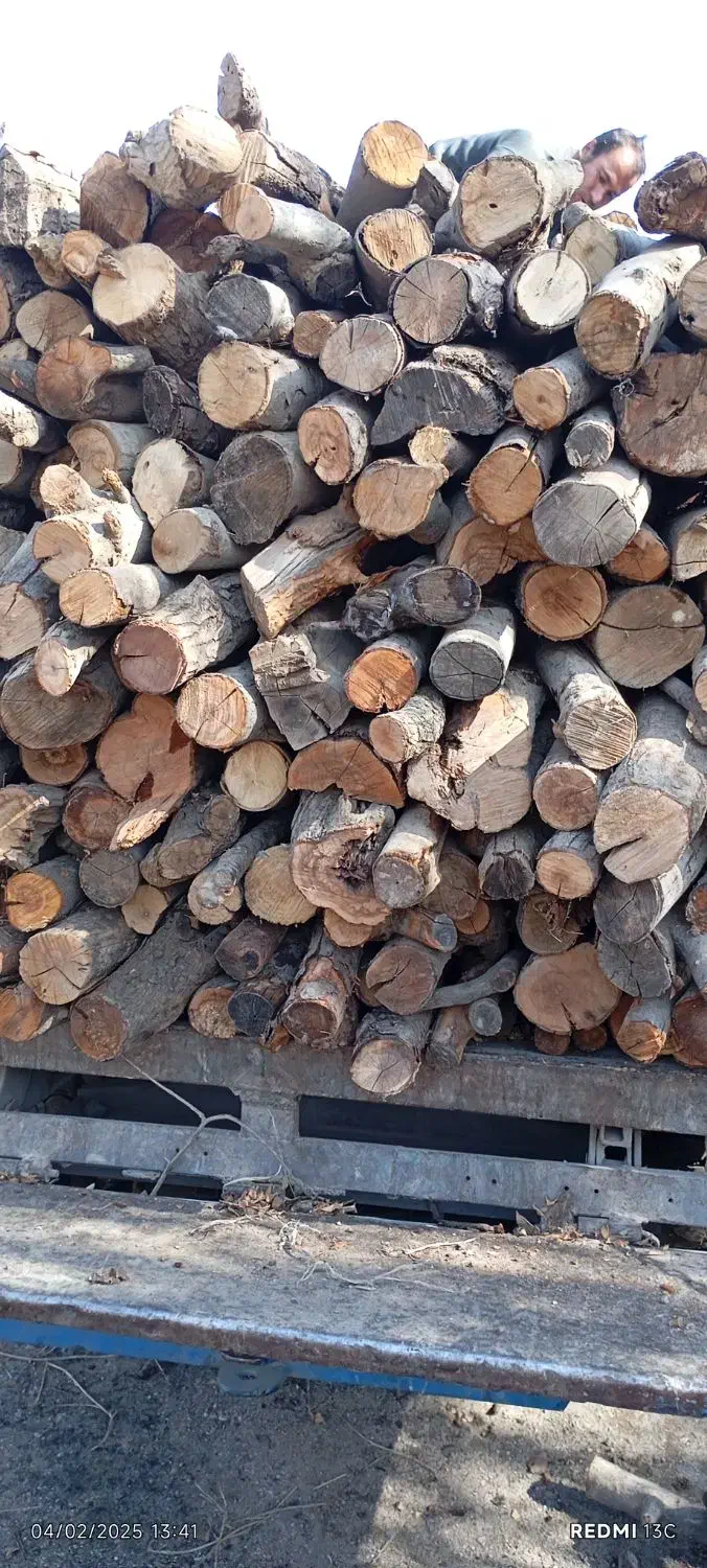 خرید فروش چوب|خدمات باغبانی و درختکاری|مراغه, |دیوار