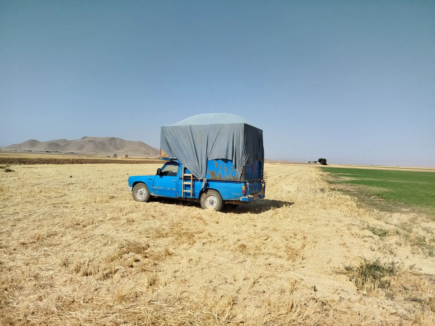 کاه|عمده‌فروشی|شراء, |دیوار