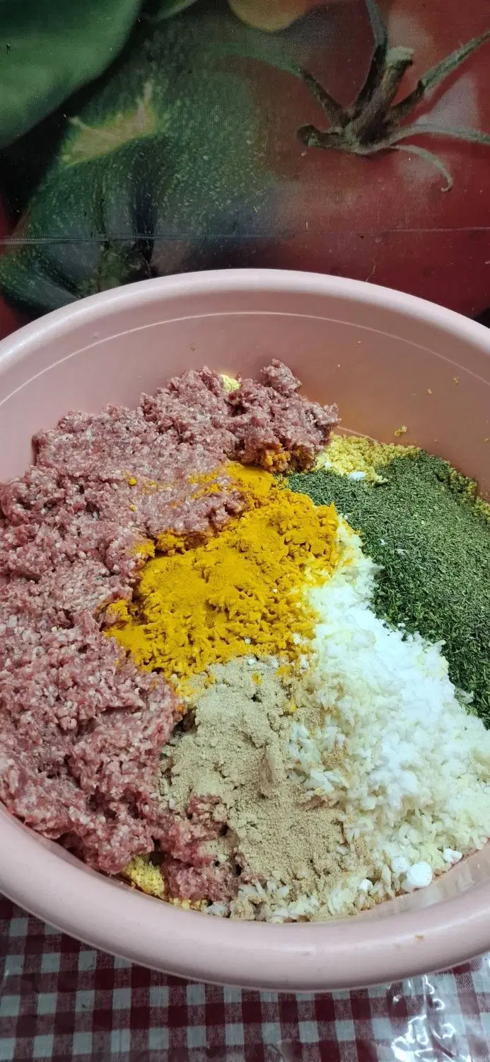 غذای خانگی|خوردنی و آشامیدنی|تهران, صد دستگاه|دیوار