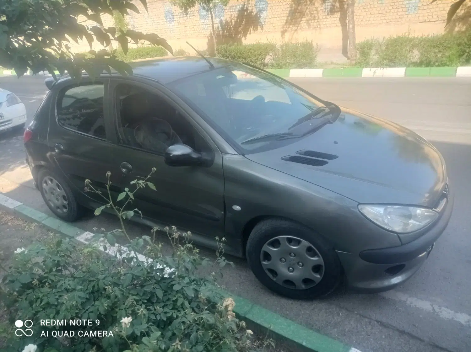 206|خودرو سواری و وانت|مشهد, اروند|دیوار