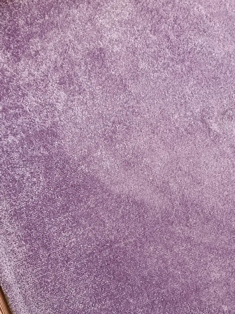 موکت|موکت|همدان, |دیوار