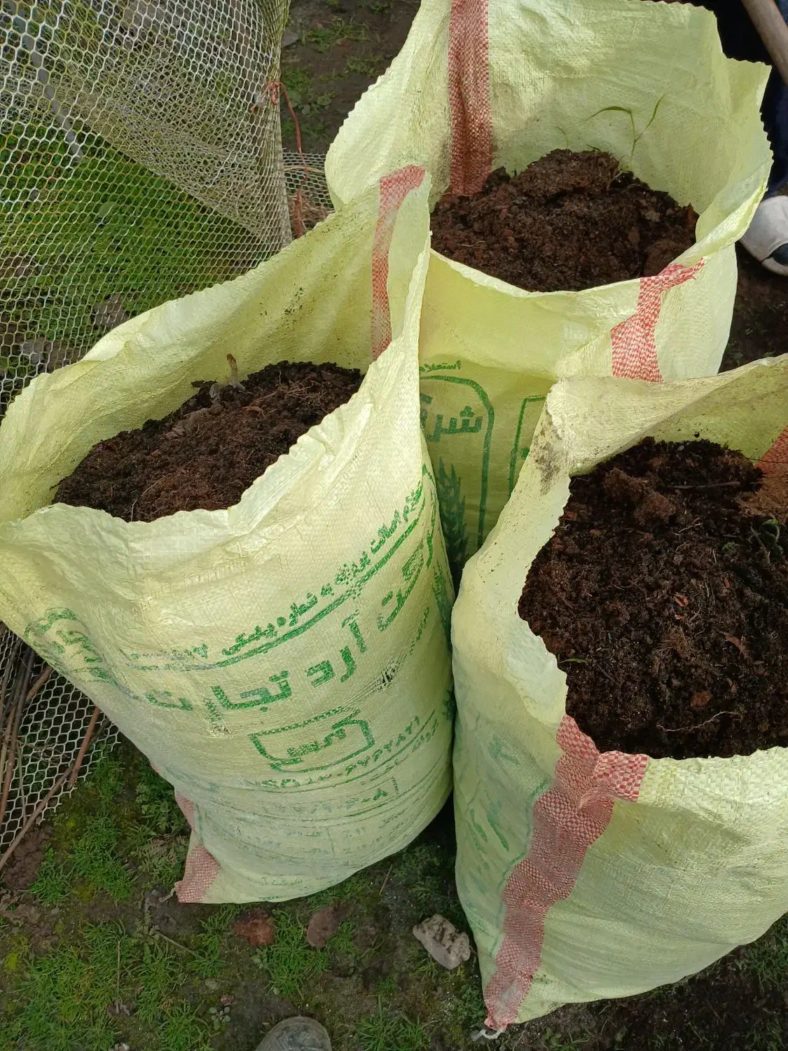 کود حیوانی|گل و گیاه طبیعی|رشت, حومه رشت|دیوار