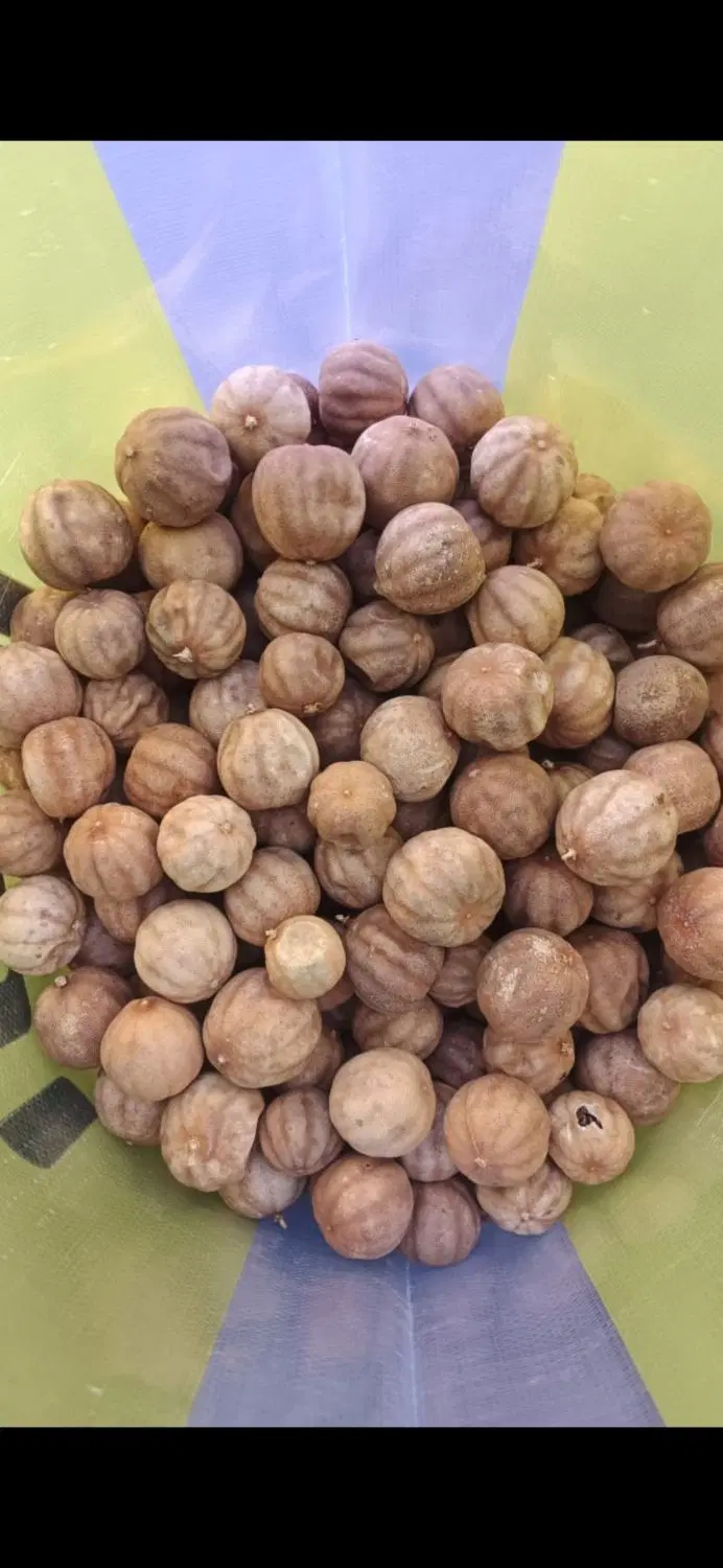 لیمو|خوردنی و آشامیدنی|دزفول, |دیوار