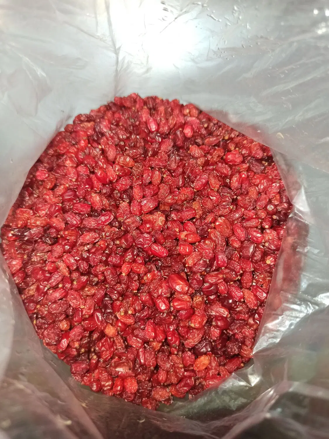 زرشک|خوردنی و آشامیدنی|دزفول, |دیوار