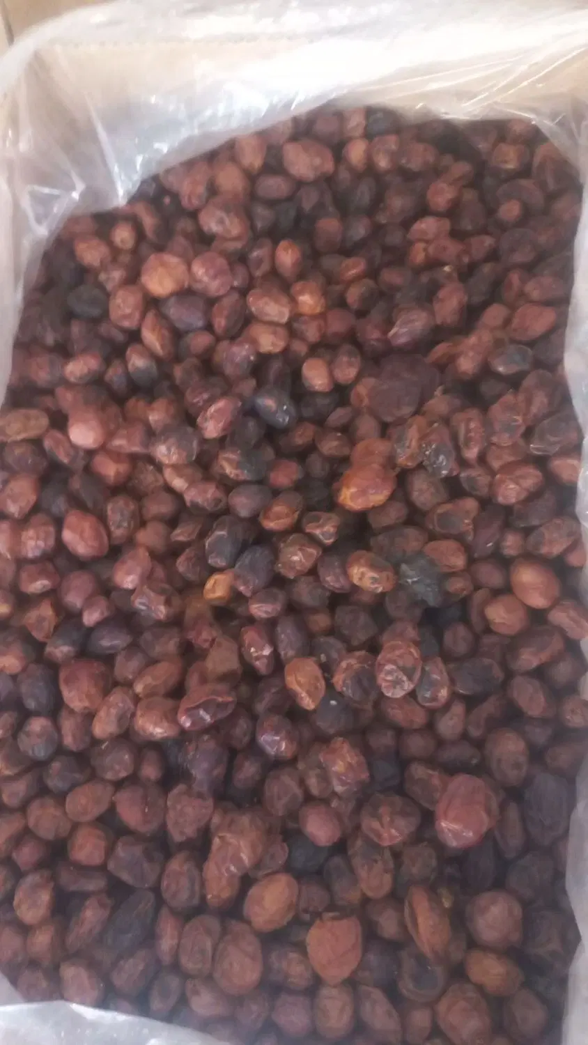 خرما|خوردنی و آشامیدنی|ملارد, |دیوار