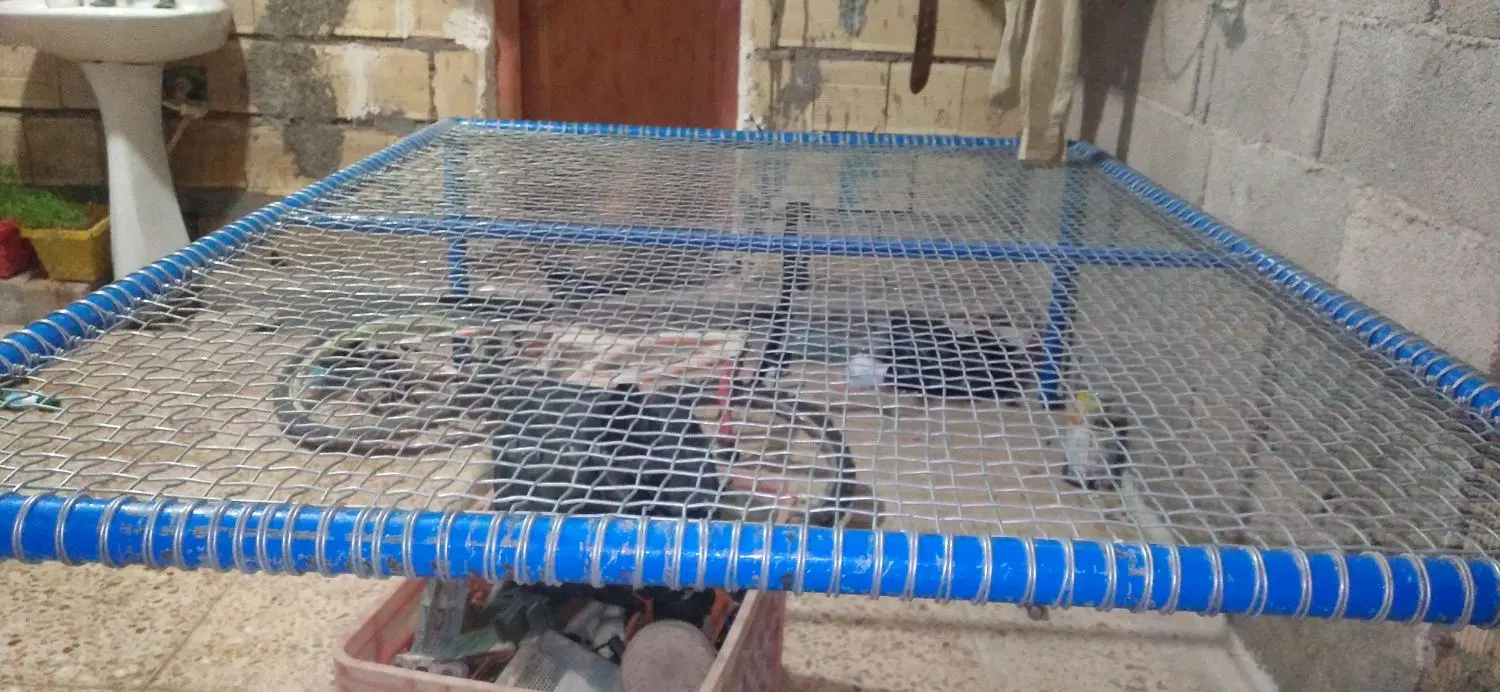 تخت|تشک تختخواب|مسجد سلیمان, |دیوار