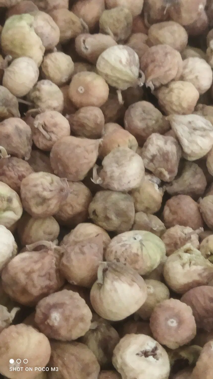 انجیر|خوردنی و آشامیدنی|شیراز, بریجستون|دیوار