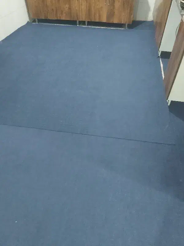 موکت|موکت|رودسر, |دیوار