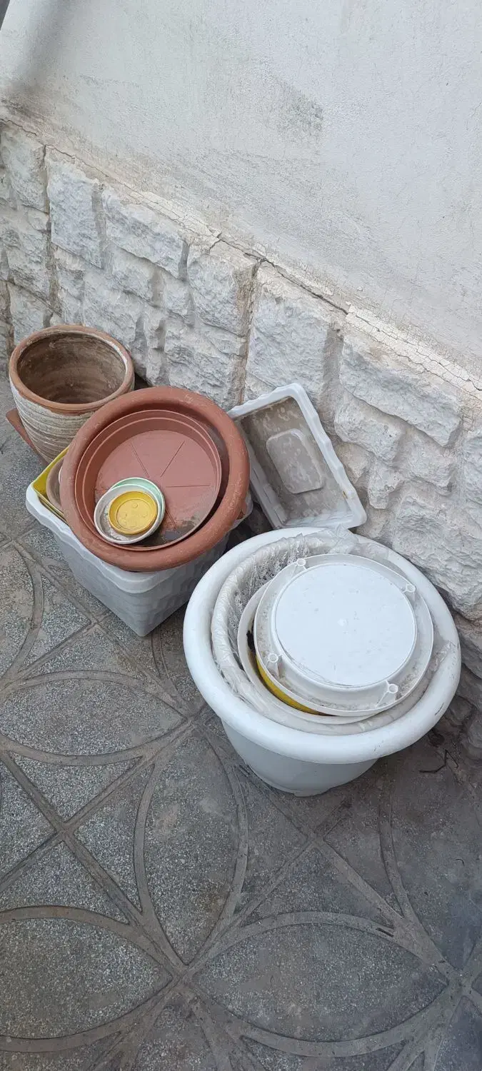 گلدان|گل و گیاه طبیعی|رضویه, |دیوار