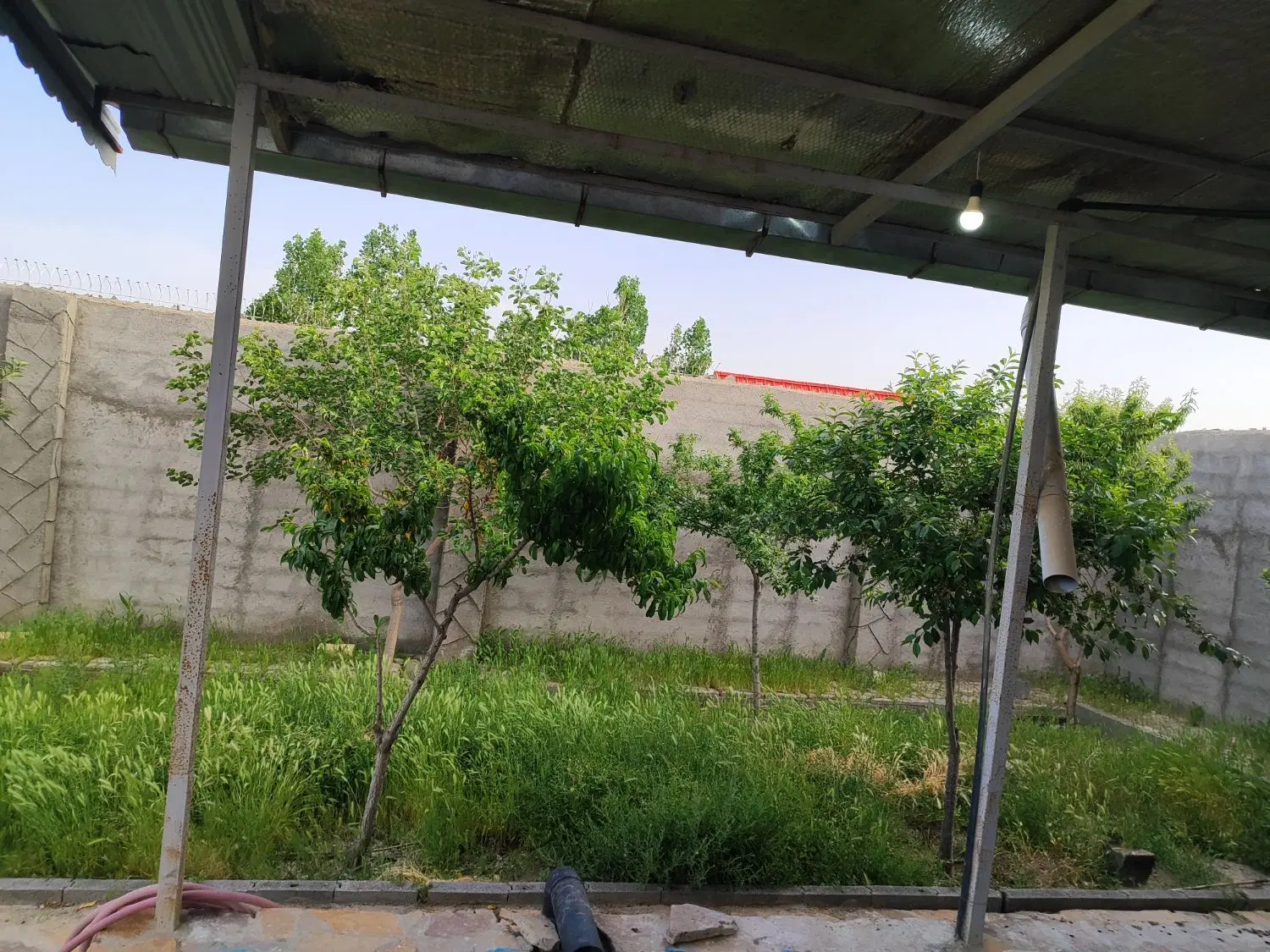 تصویر 2