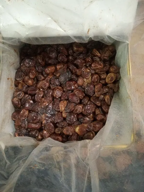 خرما|خوردنی و آشامیدنی|بوشهر, |دیوار