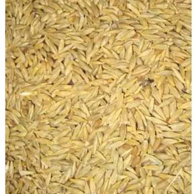 جو ابی|عمده‌فروشی|کوهنجان, |دیوار