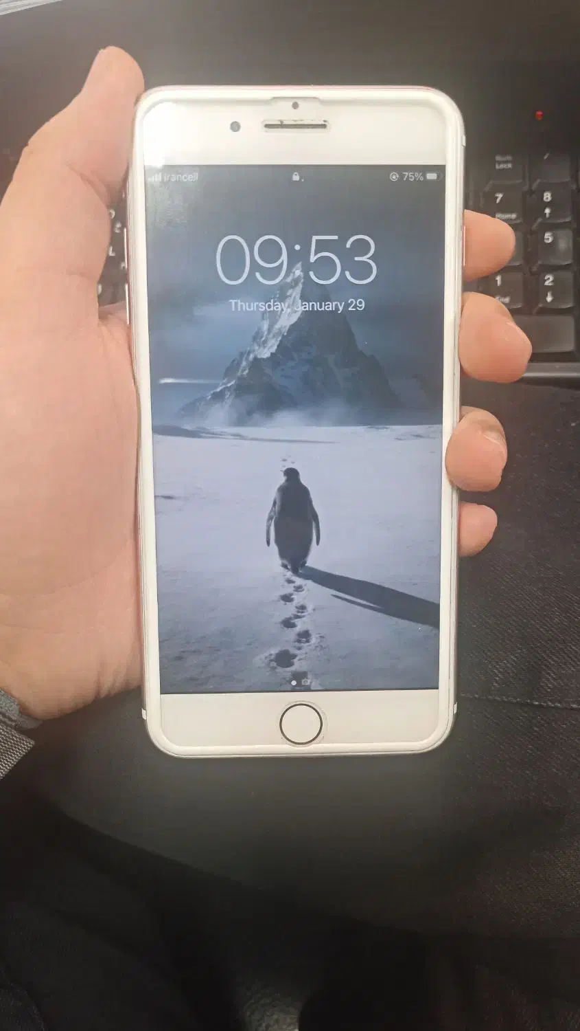 iphone 7plus|موبایل|مشهد, هفت تیر (نه دره)|دیوار