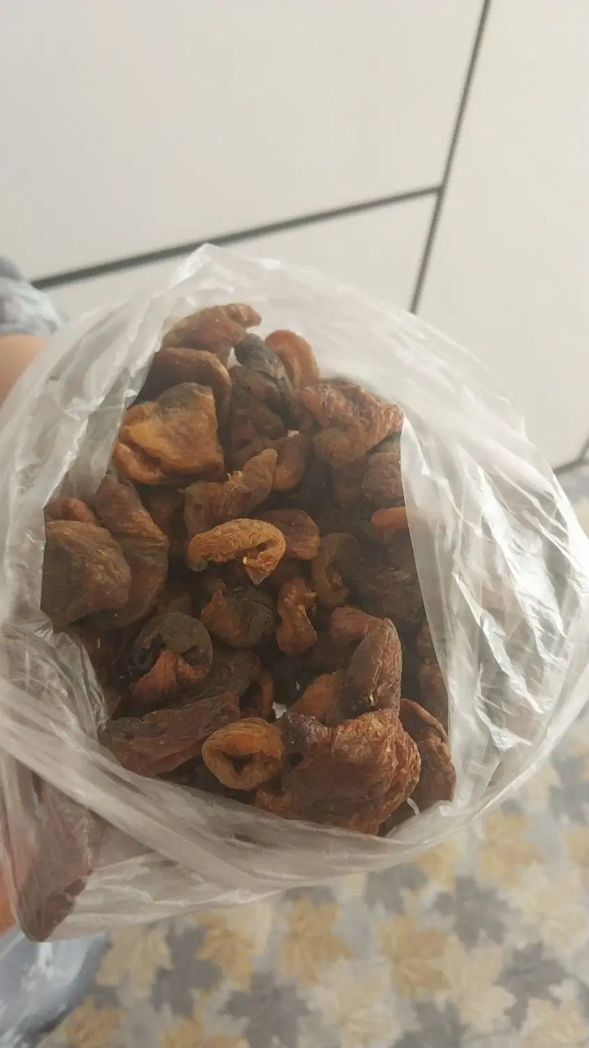 قیصی|خوردنی و آشامیدنی|اردبیل, |دیوار