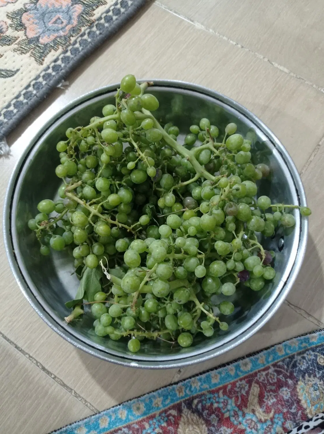 هاله|خوردنی و آشامیدنی|سنندج, |دیوار