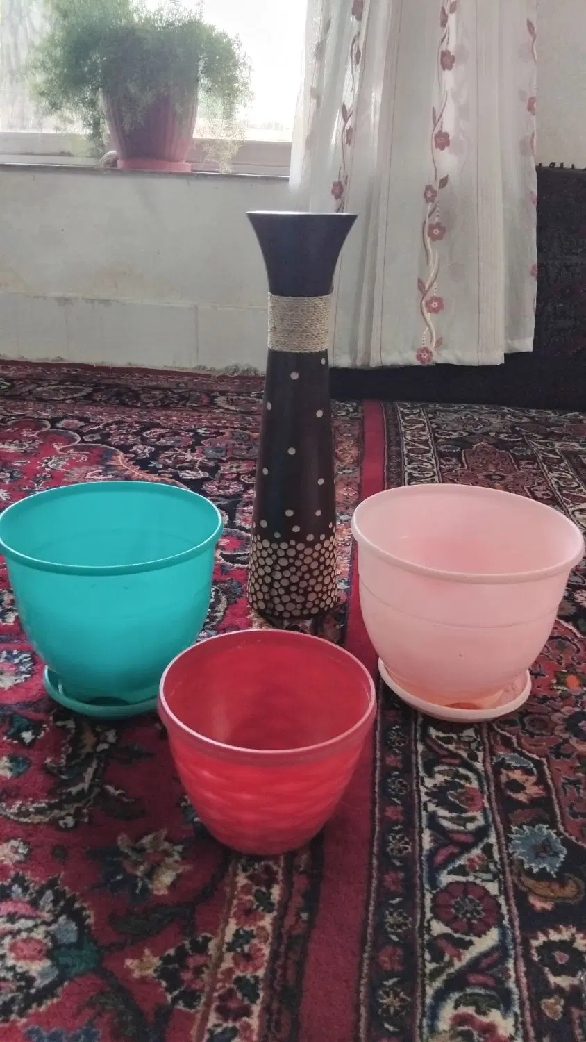 گلدان|گل و گیاه طبیعی|مشهد, سناباد|دیوار