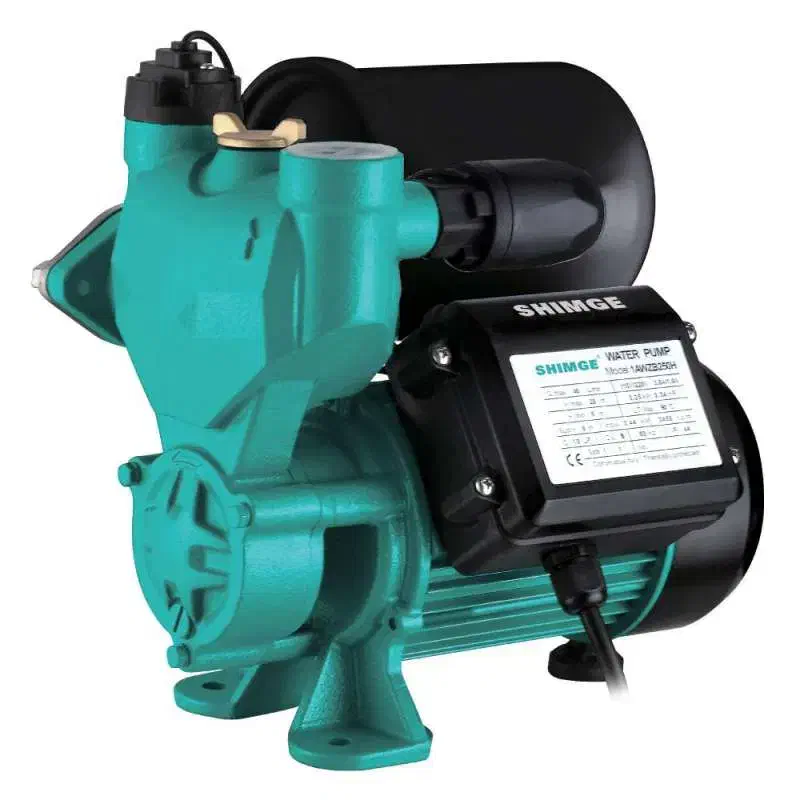 سرویس و تعمیر پمپ آب و اتوماتیک در محل|خدمات پیشه و مهارت|بندر کنگان, |دیوار