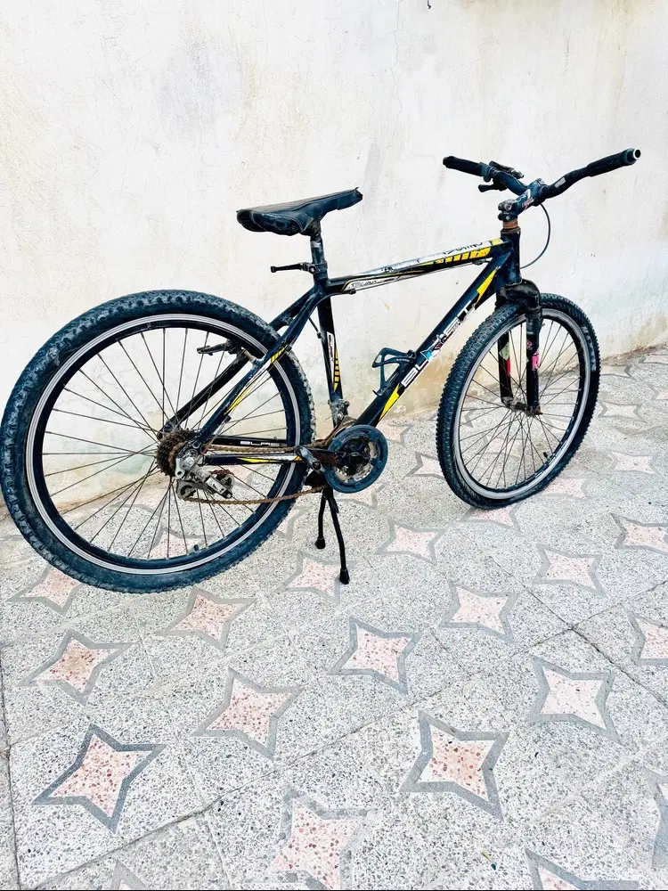 دوچرخه|دوچرخه، اسکیت، اسکوتر|میناب, |دیوار