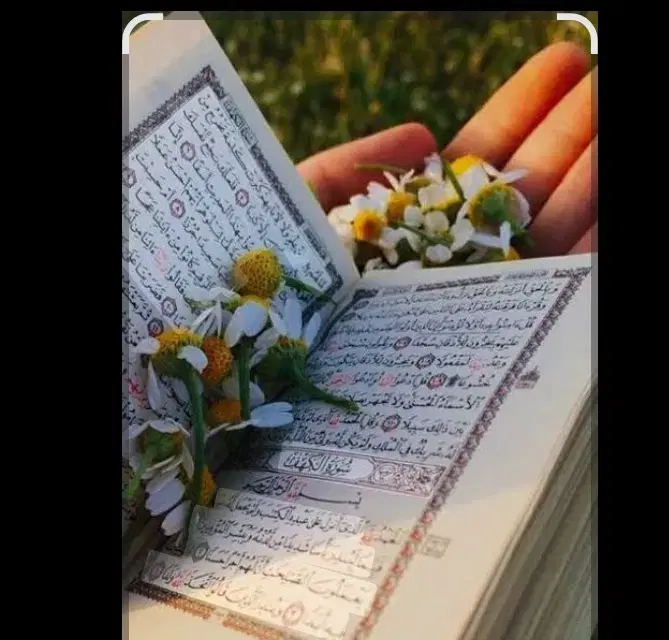 کتاب دعا|کتاب و مجله مذهبی|پاکدشت, پاکدشت (مامازند)|دیوار