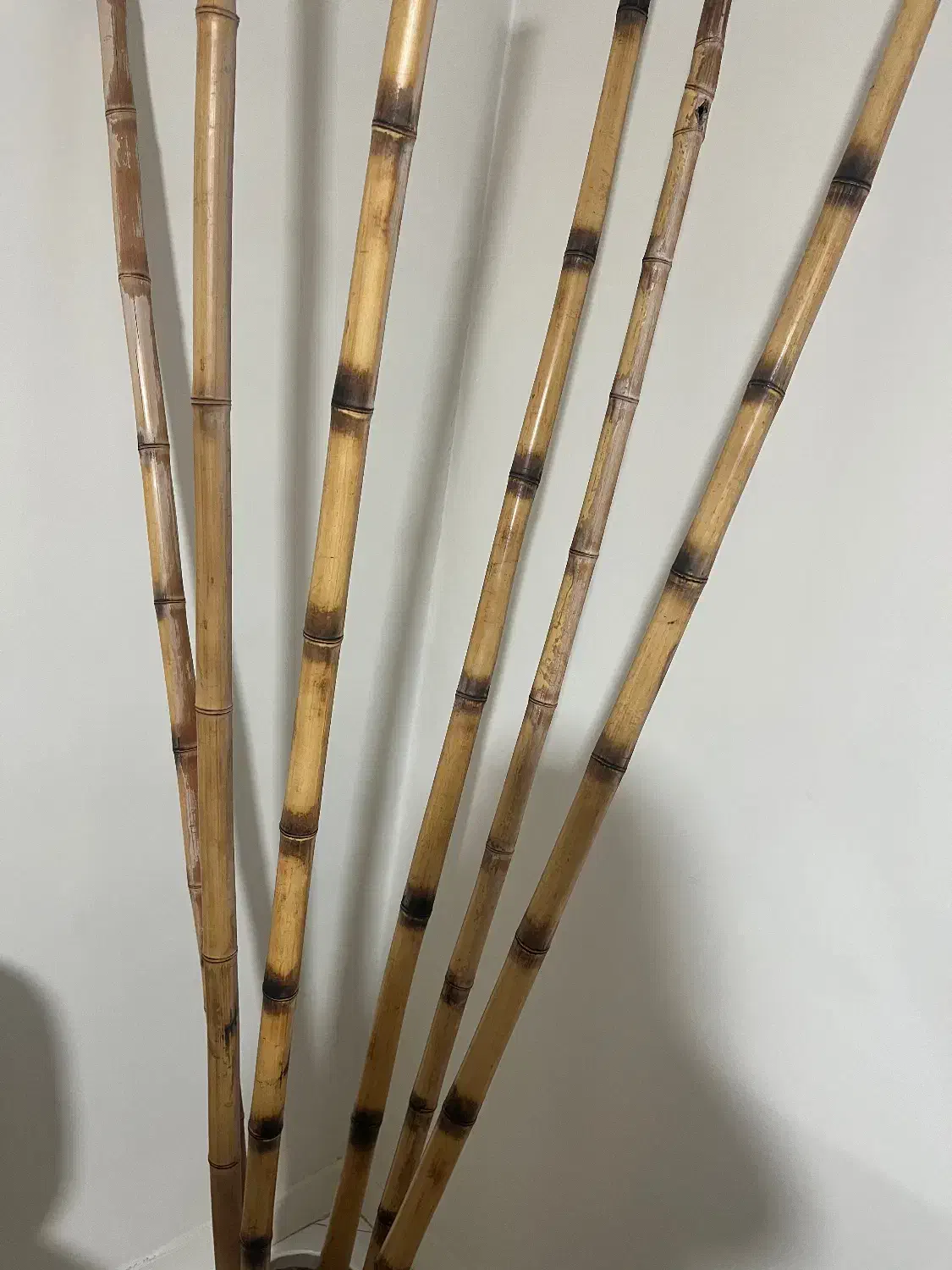 چوب بامبو|صنایع دستی و سایر لوازم تزئینی|کرج, کوی امامیه|دیوار