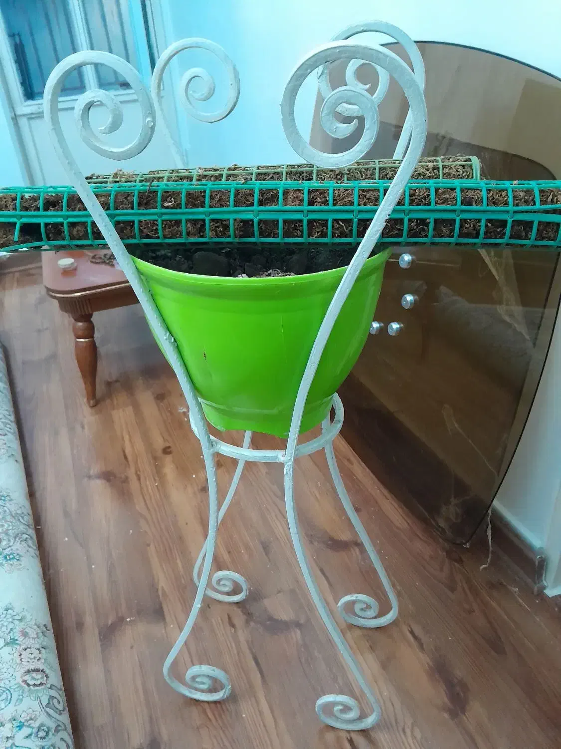 پایه گلدان|گل و گیاه طبیعی|کرج, چهارصد دستگاه|دیوار