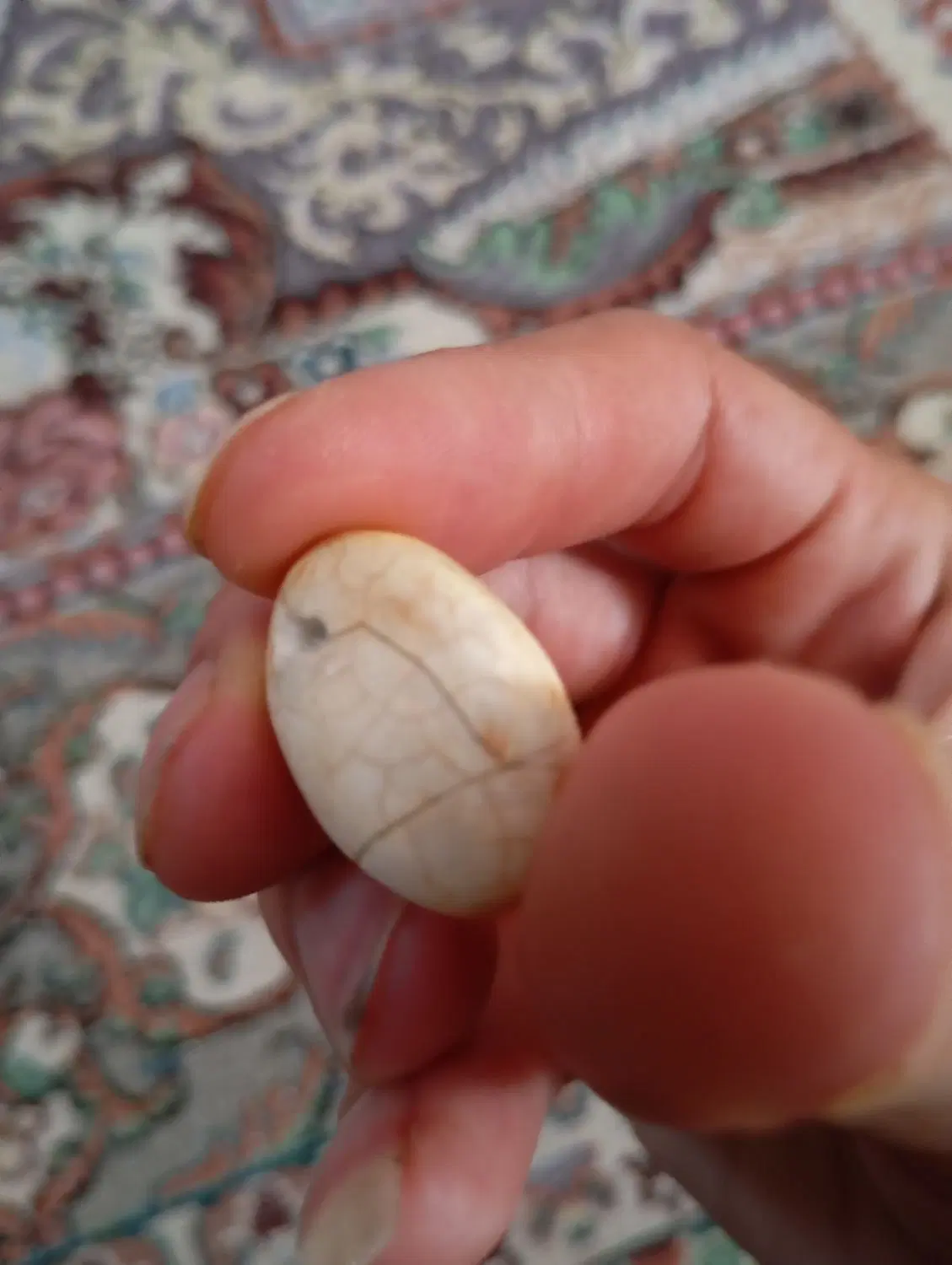 مهره|جواهرات|آمل, |دیوار